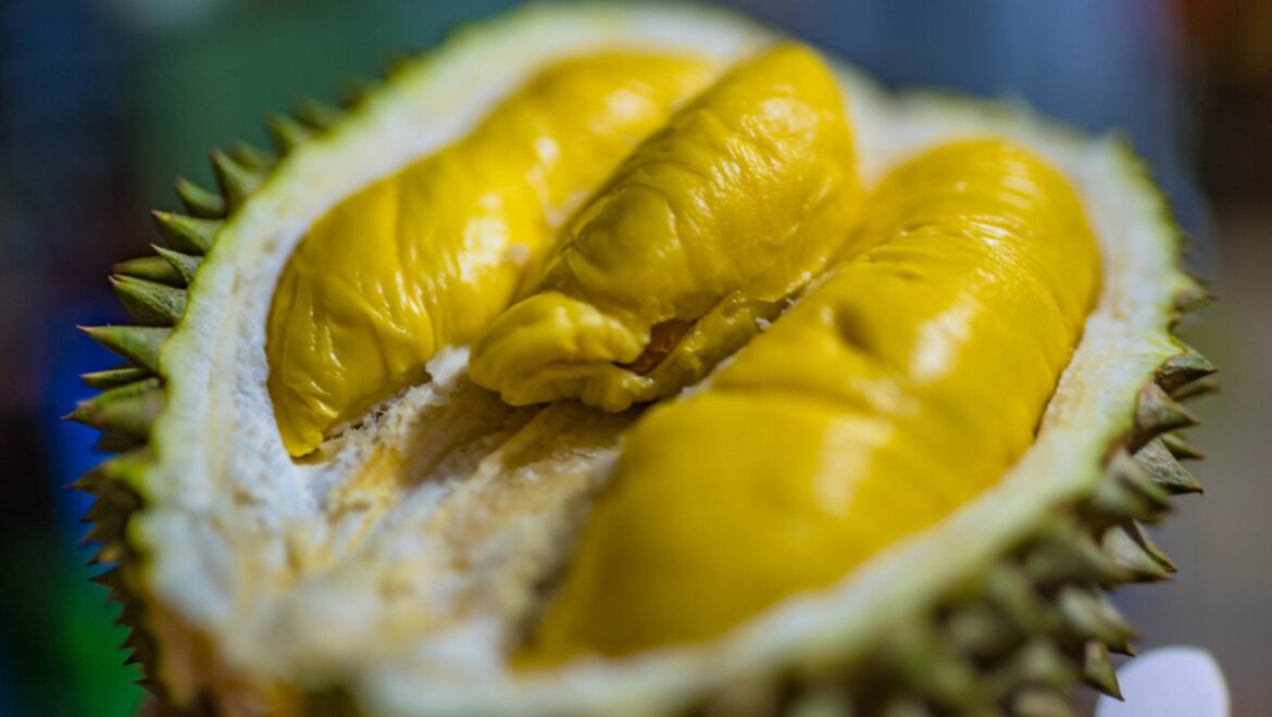 10 วิธีปลูกทุเรียน